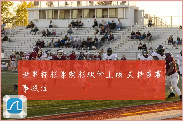 世界杯彩票购彩软件上线 支持多赛事投注