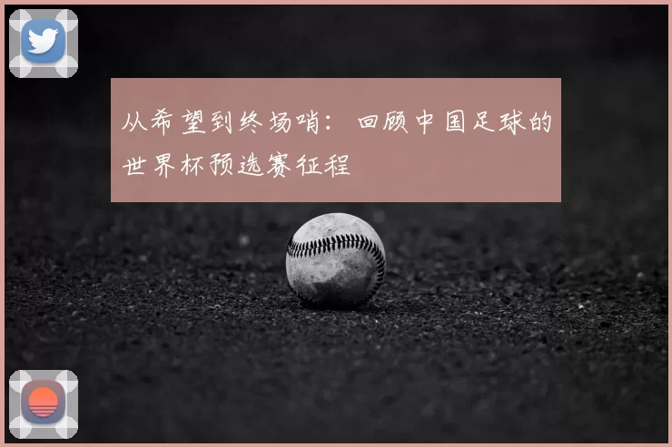 从希望到终场哨：回顾中国足球的世界杯预选赛征程