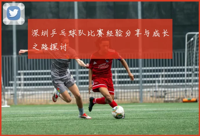 深圳乒乓球队比赛经验分享与成长之路探讨