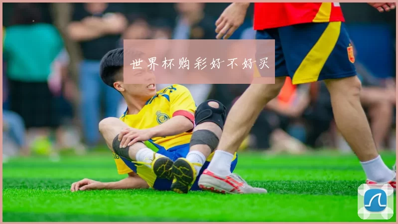 世界杯购彩好不好买