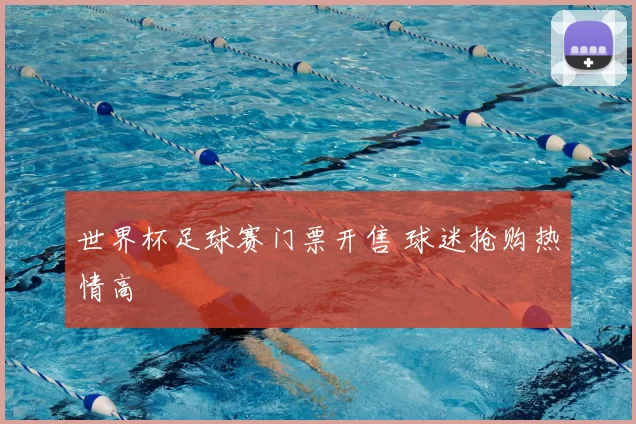 世界杯足球赛门票开售 球迷抢购热情高