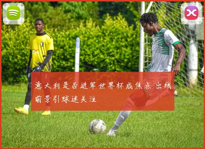 意大利是否进军世界杯成焦点 出线前景引球迷关注