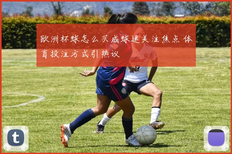欧洲杯球怎么买成球迷关注焦点 体育投注方式引热议