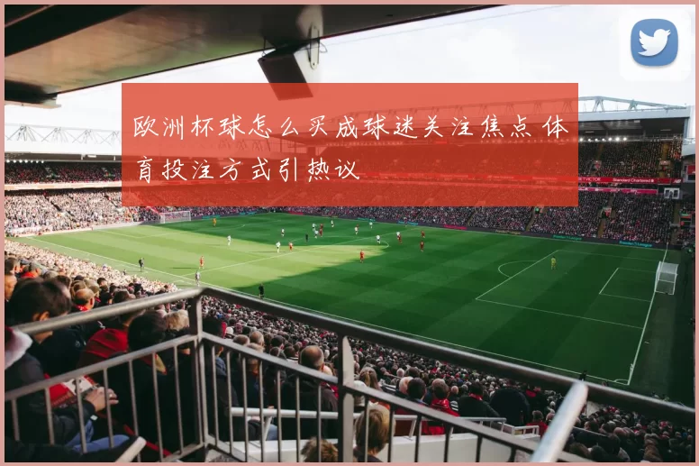 欧洲杯球怎么买成球迷关注焦点 体育投注方式引热议